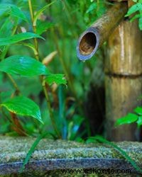 Las 10 mejores ideas para pequeños elementos acuáticos