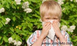 10 peores plantas para sus alergias 