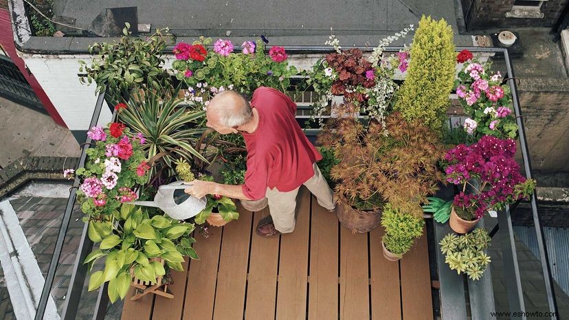 Jardines sin patio:cómo cultivar sin espacio