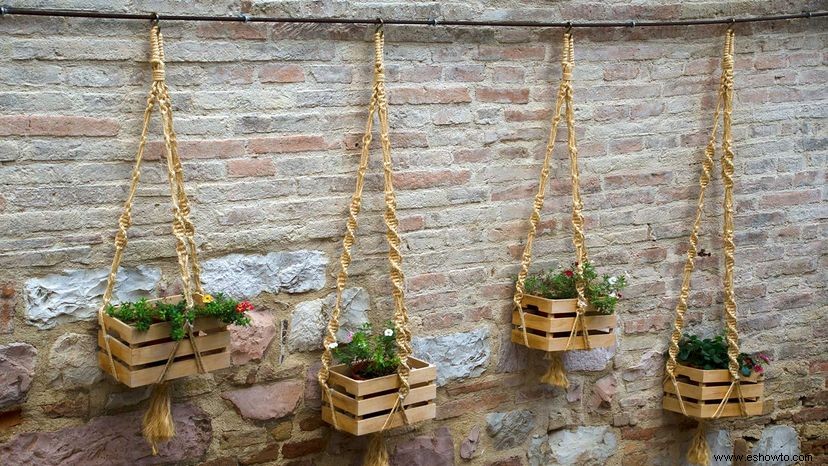 Jardines sin patio:cómo cultivar sin espacio