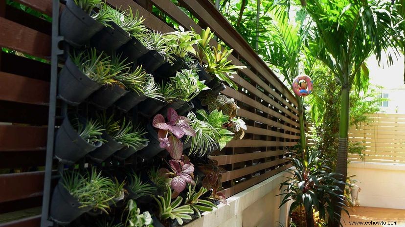 Jardines sin patio:cómo cultivar sin espacio