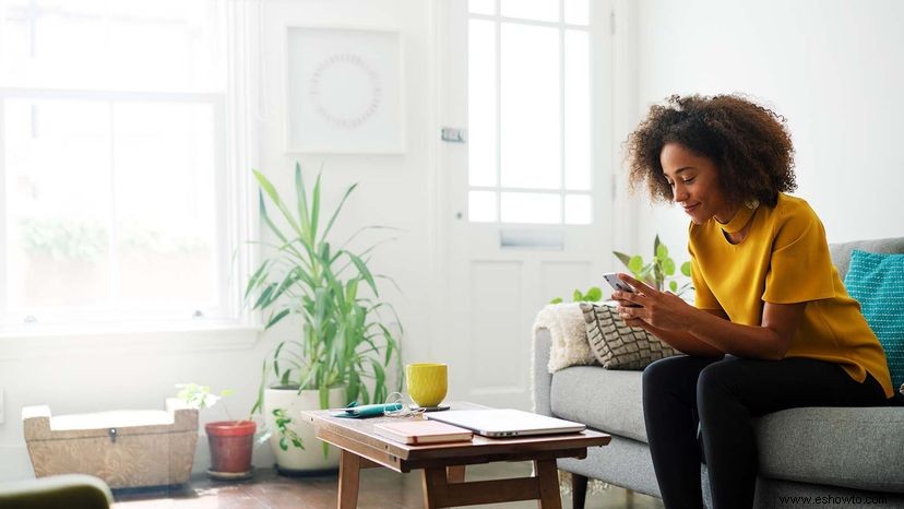 ¿Cuántas plantas de interior necesita para una buena calidad del aire interior? 