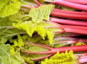 Ruibarbo: la verdura con hojas tóxicas que puedes comer por completo (solo los tallos)
