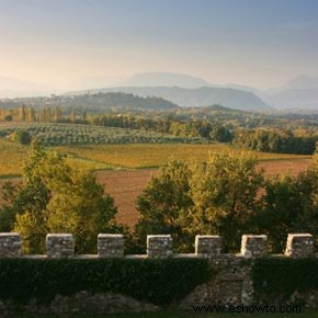 Guía definitiva de la región vinícola de Friuli-Venezia Giulia 