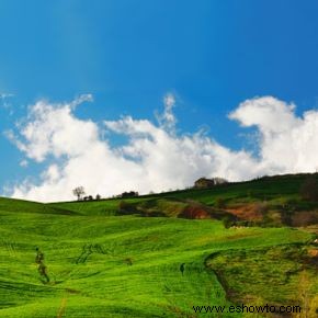 Guía definitiva de la región vinícola de Molise 