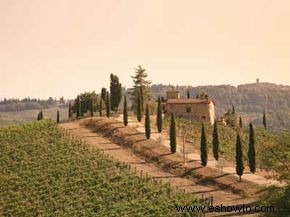 Guía definitiva de la región vinícola de la Toscana 