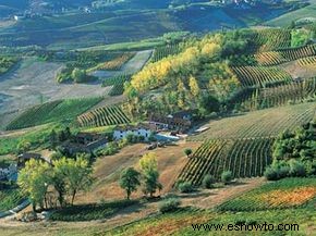 Guía definitiva de la región vinícola del Piamonte 