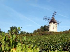Guía definitiva de la región vinícola de Borgoña 