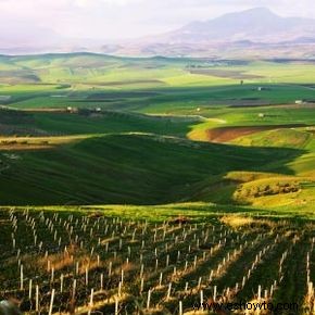 Guía definitiva de la región vinícola de Sicilia 