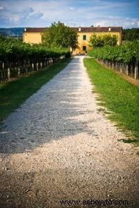 Guía definitiva de la región vinícola del Véneto 