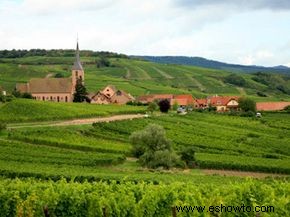 Guía definitiva de la región vinícola de Alsacia 