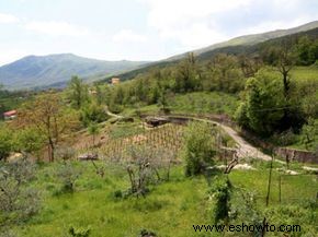 Guía definitiva de la región vinícola de Calabria 