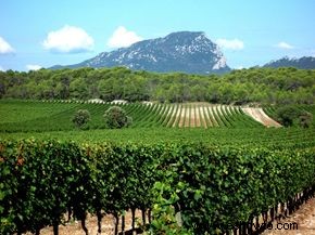 Guía definitiva de la región vinícola de Languedoc Roussillon 