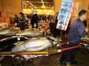 ¿Realmente deberías evitar pedir pescado los lunes? 