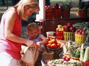 Guía definitiva para la agricultura apoyada por la comunidad 