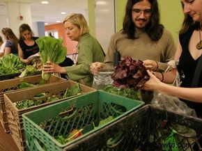 Guía definitiva para la agricultura apoyada por la comunidad 