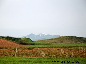 Guía definitiva de la región vinícola de La Rioja 