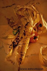 Todo lo que siempre quiso saber sobre el maíz indio 