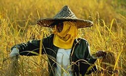 5 rituales de cosecha alrededor del mundo 