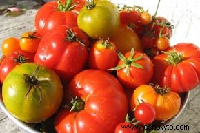 Cómo elegir el tomate perfecto 