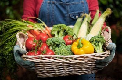 Fotos de vegetales 