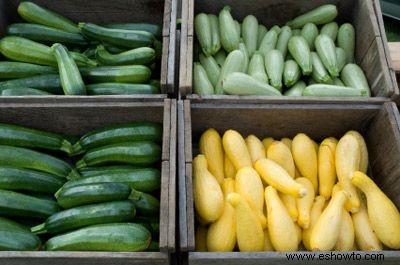 Fotos de vegetales 