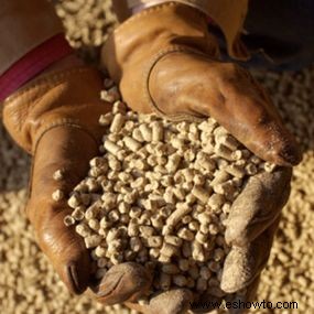 La verdad sobre la soya:¿cuándo es mala para ti? 