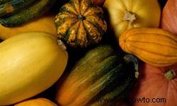 10 alimentos que están en temporada en otoño 