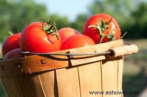 Cómo saber qué tomate usar para ese plato 