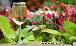 Los 10 mejores jardines de la región del vino 