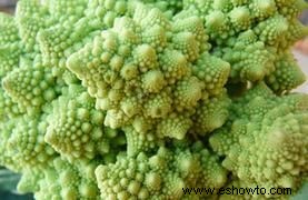 Prueba una nueva verdura:coliflor romanesco 