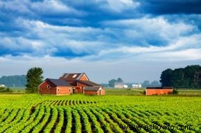 ¿A cuántas personas alimenta un agricultor en un año? 