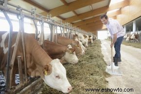 ¿A cuántas personas alimenta un agricultor en un año? 