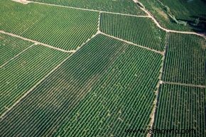 ¿A cuántas personas alimenta un agricultor en un año? 