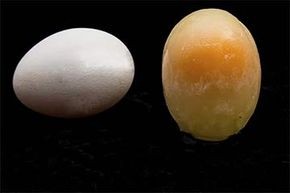 ¿Puedes congelar los huevos para conservarlos más tiempo? 