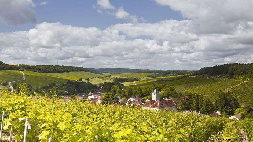 El cambio climático está afectando a los vinos franceses, para bien y para mal 