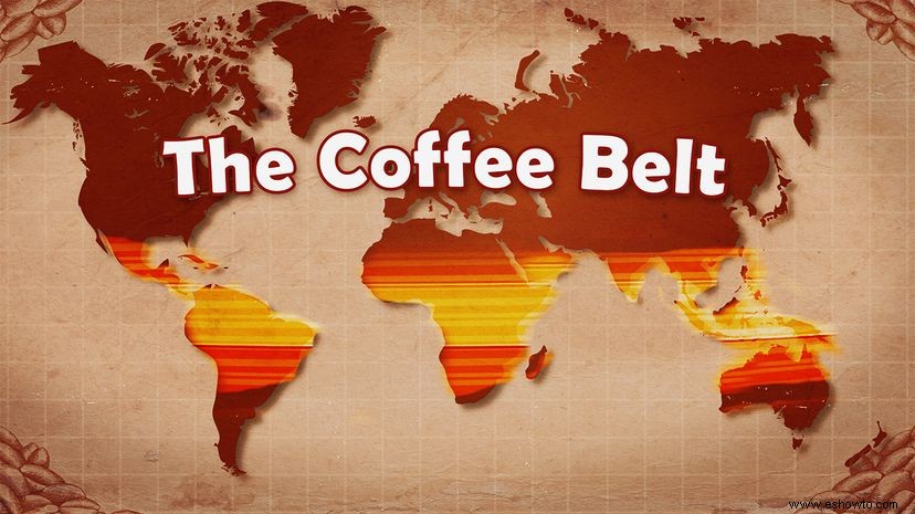 The Coffee Belt y Your Morning Joe 