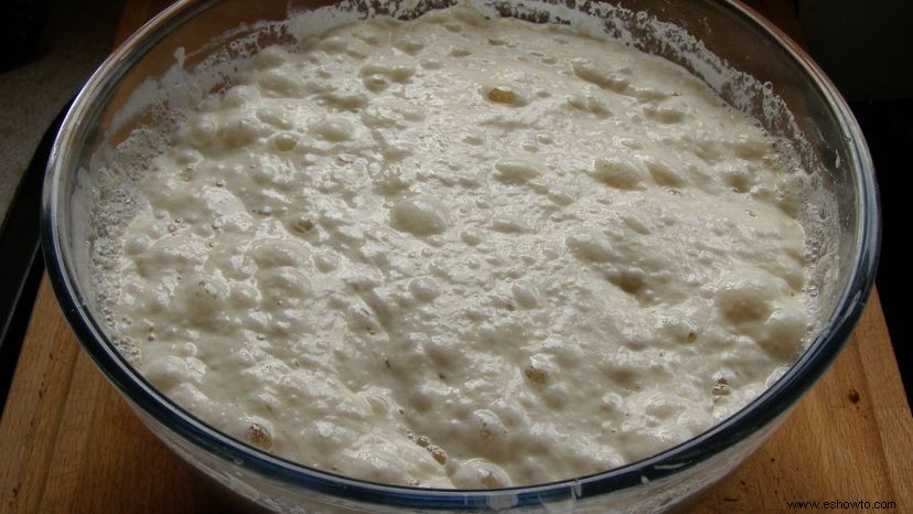 Nunca, nunca, nunca puedes dejar de hacer pan de masa fermentada 