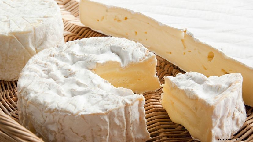 ¿Cuáles son los diferentes tipos de queso? 