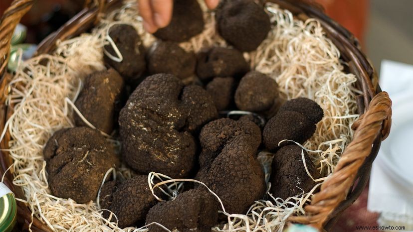 Trufas:los hongos más raros y caros del mundo 