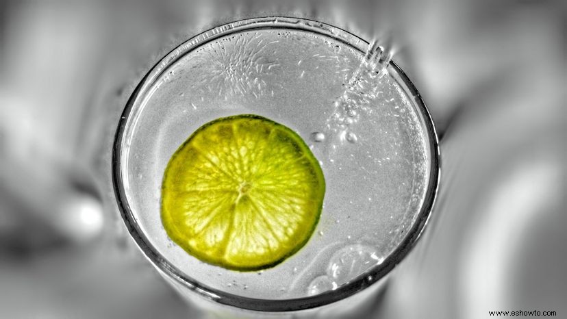 Cómo el gin tonic se convirtió en el combo de cócteles definitivo 