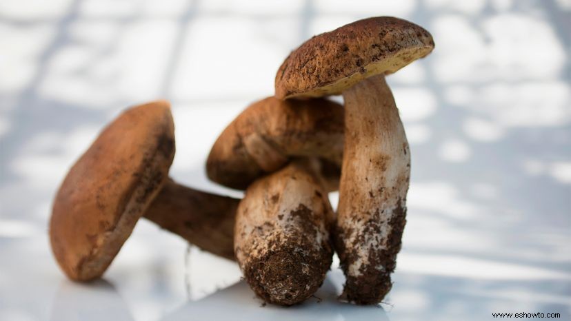 Champiñones:¿Lavarlos o cepillarlos? 