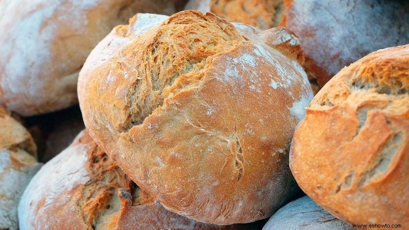 La levadura es el microbio mágico que hace crecer el pan 