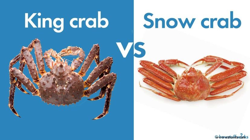¿Cuál es la diferencia entre el cangrejo de las nieves y el cangrejo real? 
