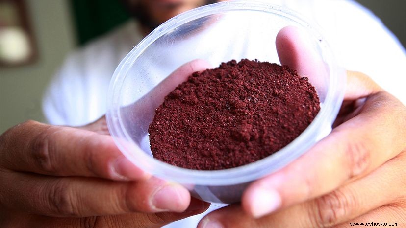 Cómo el carmín, el tinte rojo hecho de insectos, se convierte en su comida 