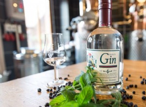 Cómo se elabora la ginebra: historia completa, tipos y proceso de producción