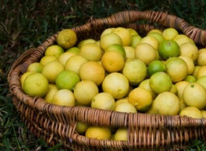 ¿Cuál es la diferencia entre las limas Key y las limas persas?
