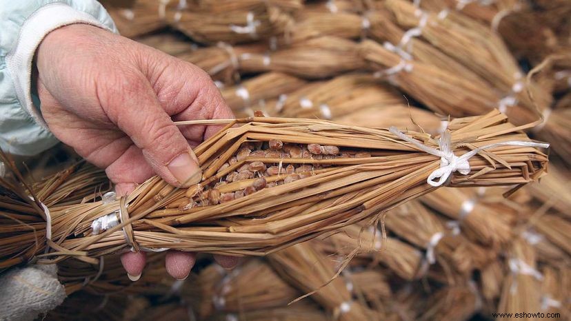 Natto es uno de los alimentos fermentados más divertidos de Japón 