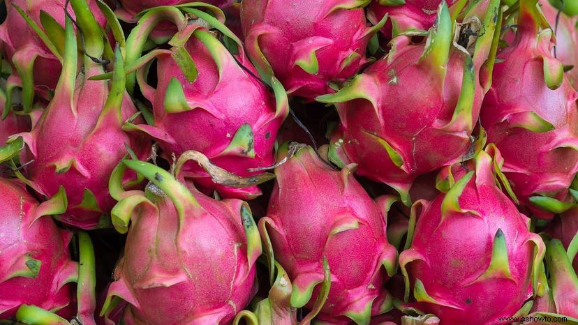 Por qué debería entusiasmarse con la fruta del dragón 