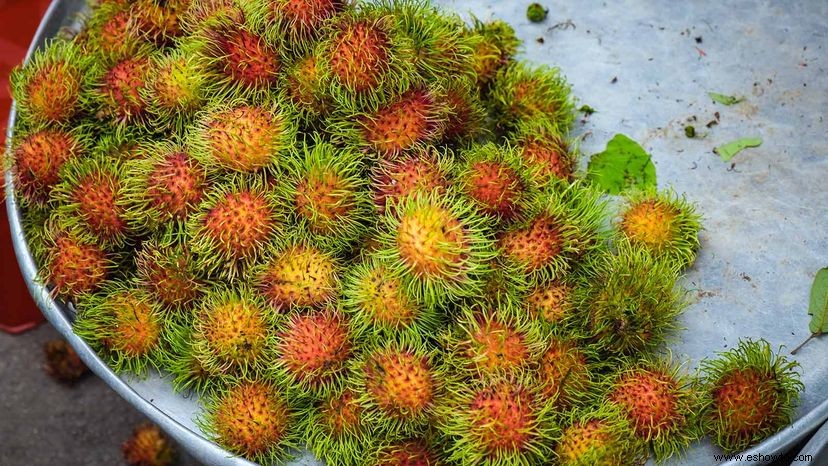 El rambután es el primo más peludo de la fruta del lichi 